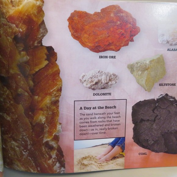 ROCK ON! Unearth The Natural Treasure Beneath Your Feet - Picture 4 of 5